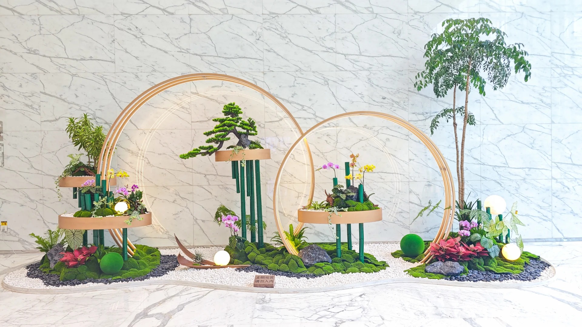 了解杭州湾植物租赁价格，满足你的需求！